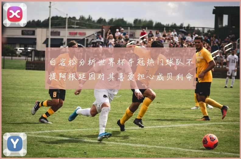 白岩松分析世界杯夺冠热门球队不提阿根廷因对其喜爱担心成贝利命运